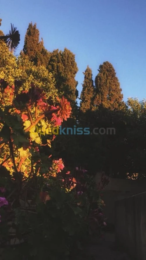 Vente Villa Alger El biar