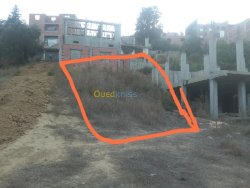 Vente Terrain Alger Douera