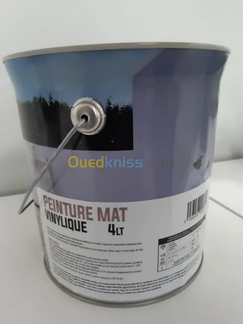 peinture générale et décoration