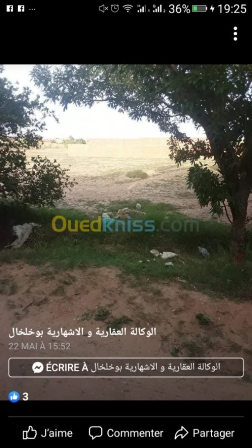 Vente Terrain Laghouat Laghouat