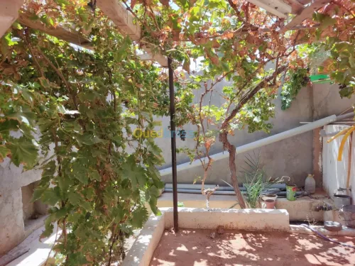Vente Villa Ghardaia Ghardaia