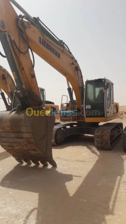 4 PELLES HYDRAULIQUES LIEBHERR 916 2015