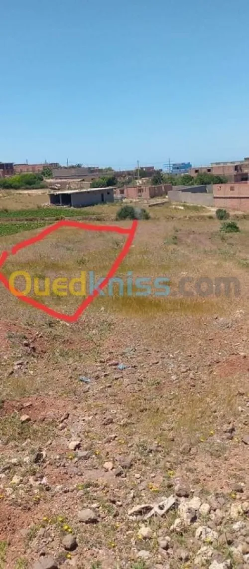 Vente Terrain Ain temouchent Oulhaca el gheraba