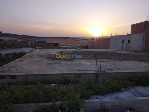 Vente Terrain Constantine El haria