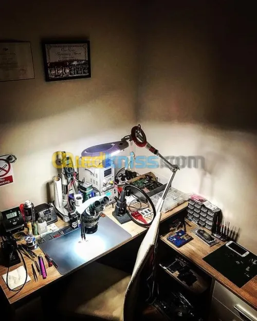 Reparation  neiman/ezs mercedes benz 