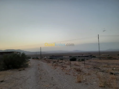 Vente Terrain Tebessa Hammamet