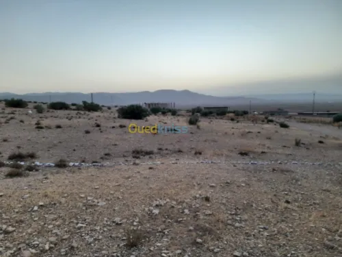 Vente Terrain Tebessa Hammamet