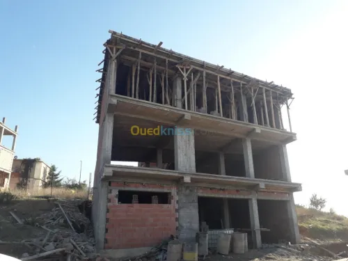 Vente Carcasse Blida Ouled yaich