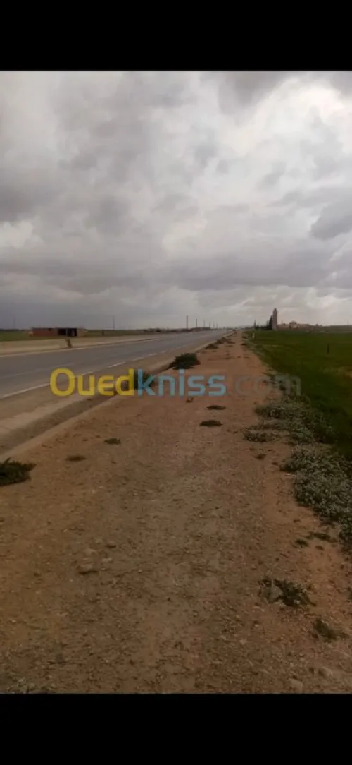 Vente Terrain Djelfa Djelfa