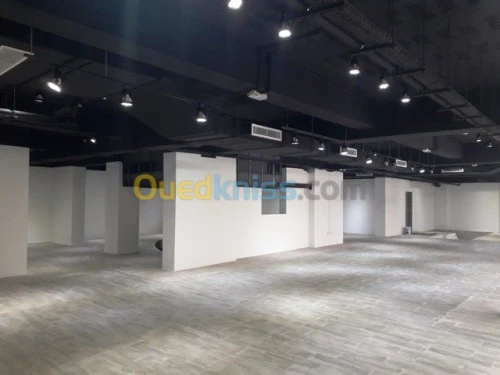 Vente Local Alger Belouizdad