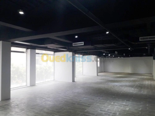Vente Local Alger Belouizdad