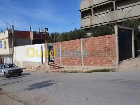 Vente Immeuble Chlef Chlef