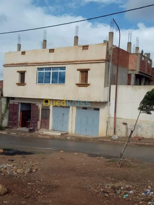 Vente Immeuble Chlef Chlef