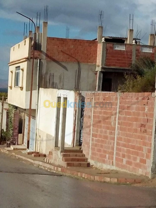 Vente Immeuble Chlef Chlef