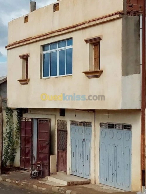 Vente Immeuble Chlef Chlef