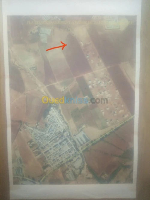 Vente Terrain Tlemcen Remchi