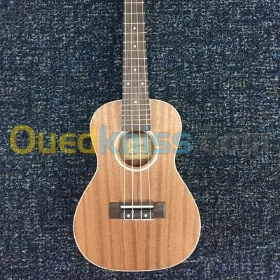 Ukulele concert 