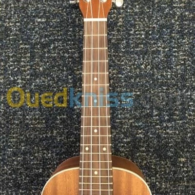 Ukulele concert 