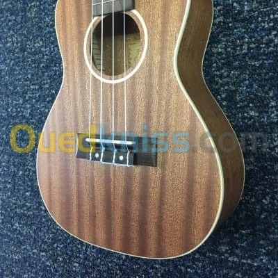 Ukulele concert 