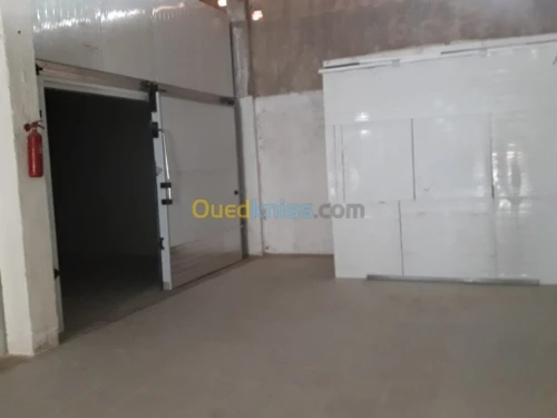Location  chambre froides 600m3 avec a