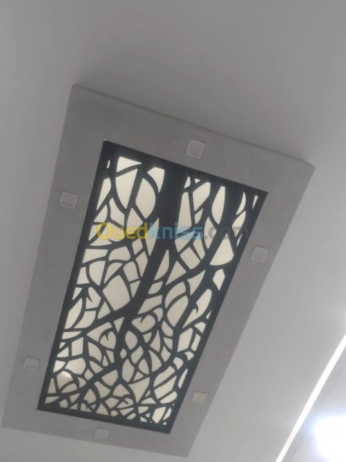 جميع اشغال الجبس وبلاكو بلاطر  