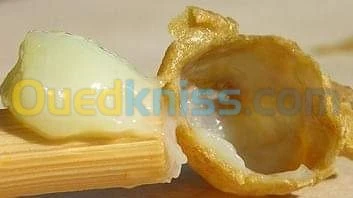 غذاء ملكة النحل Gelee royale
