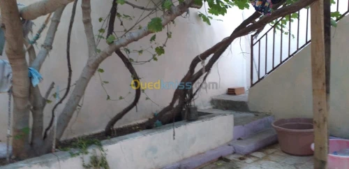 Vente Villa Oran Hassi mefsoukh