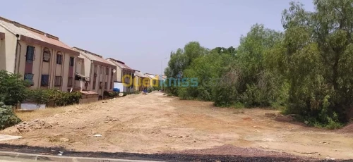 Vente Terrain Chlef Chlef