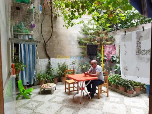 Vente Carcasse Blida Bougara
