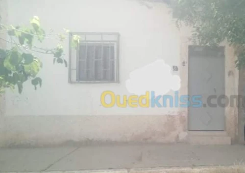 Vente Immeuble Djelfa Djelfa