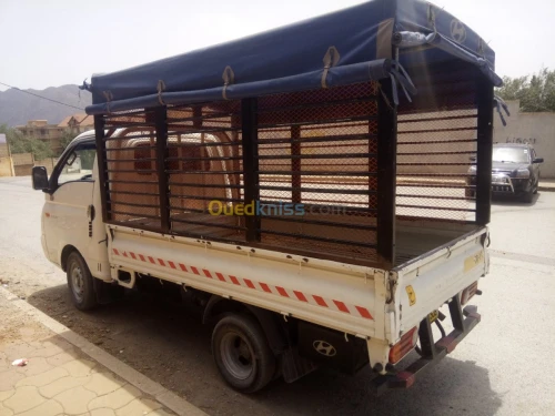 Hyundai H100
