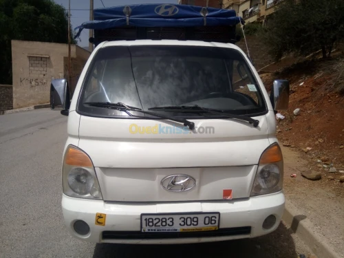 Hyundai H100