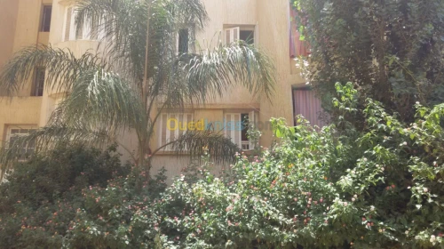 Echange Appartement F3 Blida Meftah