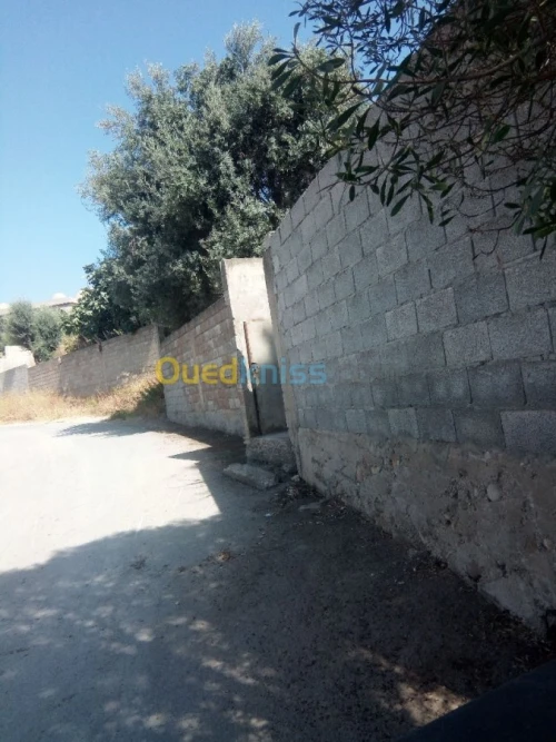 Vente Terrain Guelma Guelma