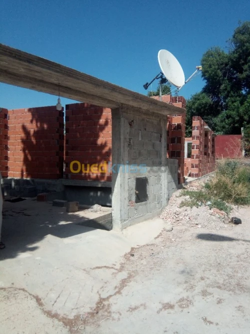 Vente Terrain Guelma Guelma