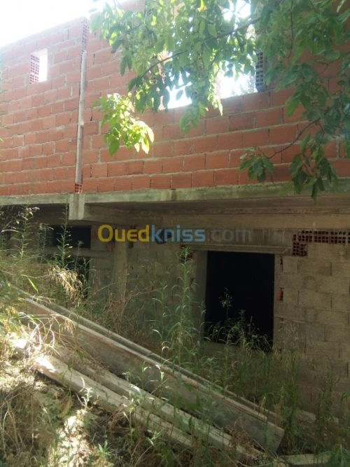 Vente Terrain Guelma Guelma