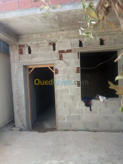 Vente Terrain Guelma Guelma