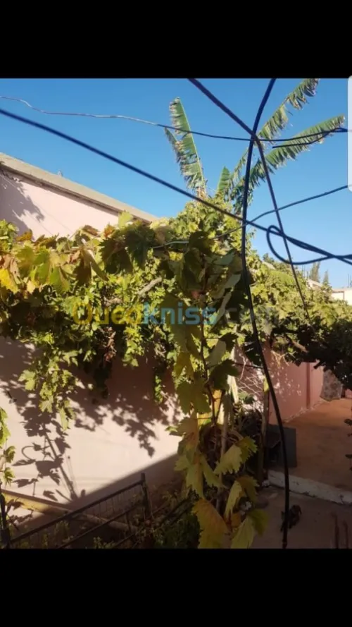 Vente bien immobilier Oran Bethioua