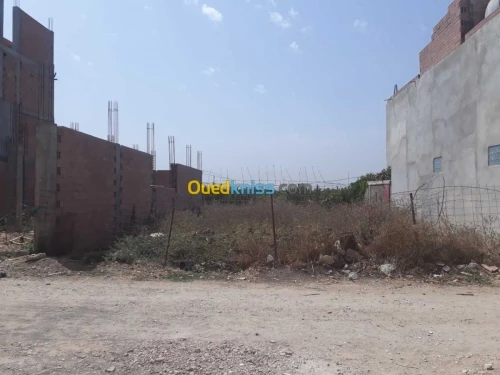 Vente Terrain Boumerdes Hammedi