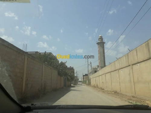 Vente Terrain Boumerdes Hammedi