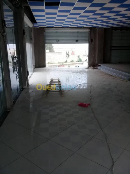 Location Carcasse Constantine El khroub