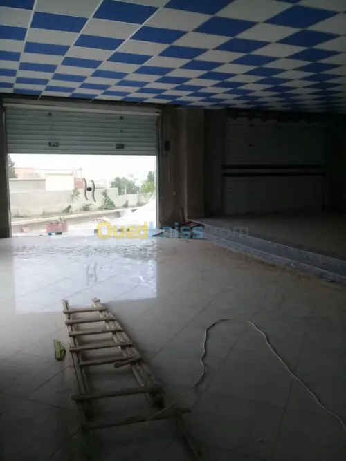 Location Carcasse Constantine El khroub