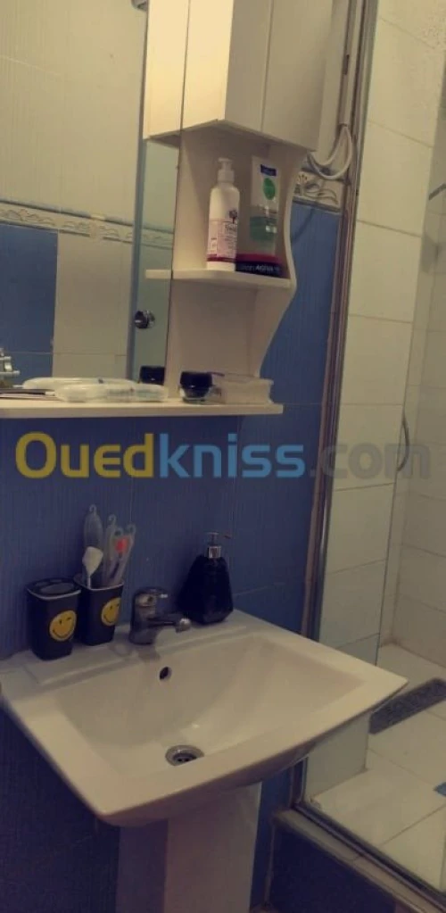 Vente Appartement F4 Alger Sidi mhamed