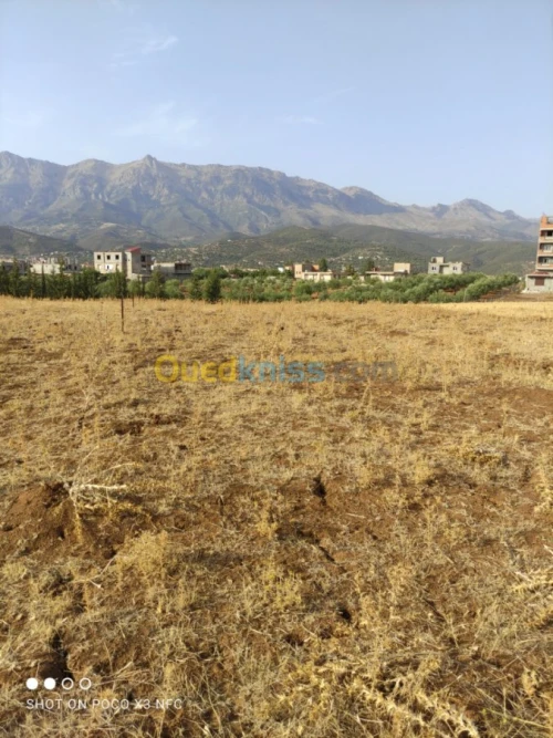 Vente Terrain Bouira Haizer