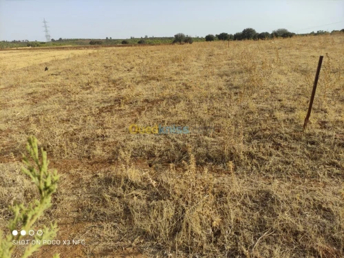 Vente Terrain Bouira Haizer