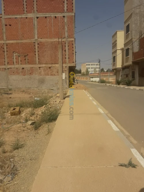 Vente Terrain Saïda Youb
