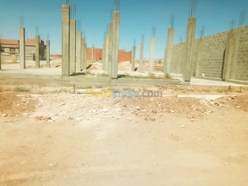 Vente Terrain Tebessa Bir el mokadem