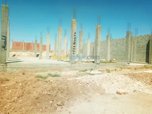 Vente Terrain Tebessa Bir el mokadem
