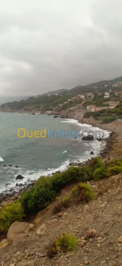 Vente Terrain Tipaza Larhat
