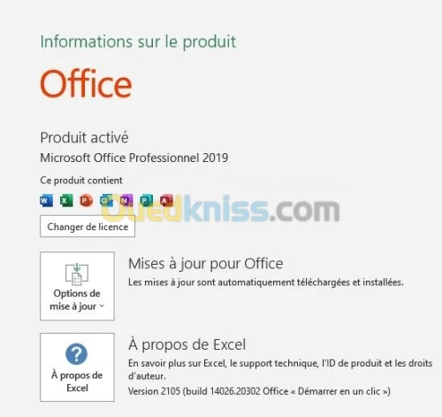 Office Professional2019_OEM_perpétuel 